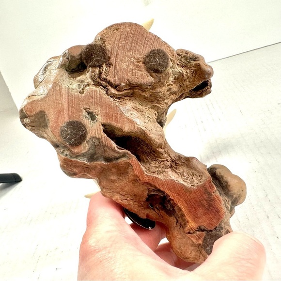 VINTAGE John Perry Dolphin Sculpture with white durable resin on burl wood base. - Picture 7 of 11